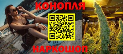 прущие крисы Изобильный