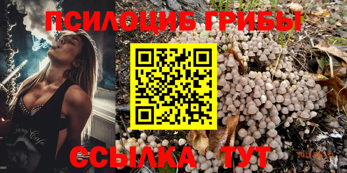 Псилоцибиновые грибы ЛСД Ивантеевка