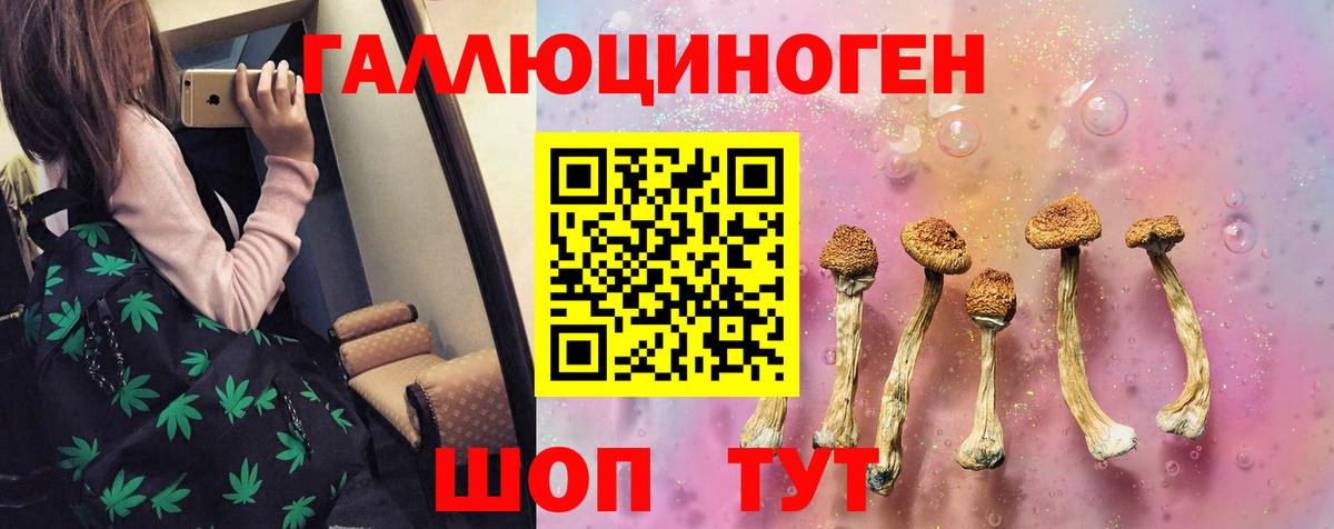 Псилоцибиновые грибы прущие грибы  Вход с VPN  Галлюциногенные грибы Psilocybine cubensis  Ивантеевка 